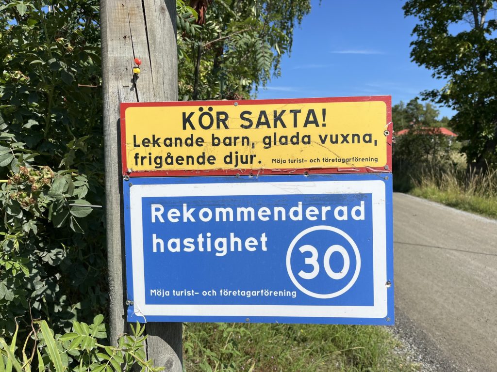 Skärgårdsupplevelser med RIB‑båt i Stockholms skärgård möja fisk#3
