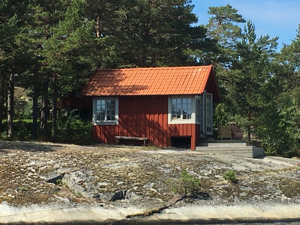 Skärgårdsupplevelser med RIB‑båt i Stockholms skärgård möja fisk#4